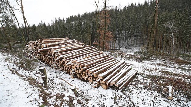 Kůrovec devastuje lesy okolo vodní nádrže Švihov. Zpracování a odvoz dřeva z těchto končin je však nesmírně složitý úkol. Pokud nedojde k urychlené obnově lesů, může to mít podle odborníků negativní vliv na kvalitu a množství vody v nádrži.