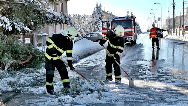 Pvaly snhu zpsobily komplikace v doprav. Hasii likviduj zlman strom popadan na silnici. (4. 2. 2019)