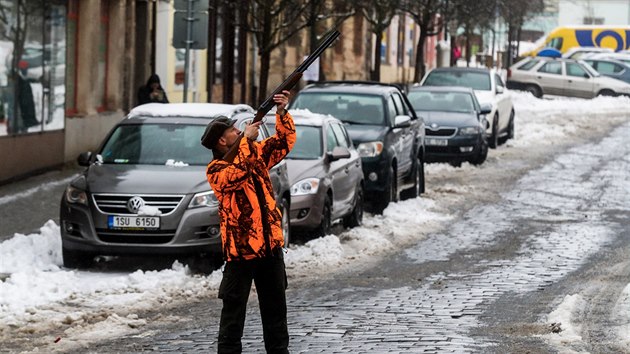 Na nmst v eskm Brod lovila v nedli skupina myslivc pemnoen divok holuby, kte suuj msto (3.2.2019)