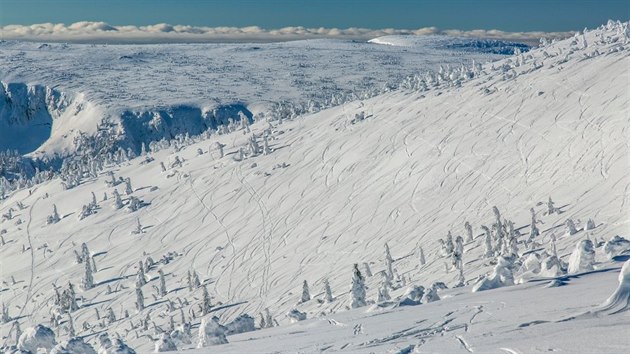 Rozježděné stráně v Krkonoších, kde se lyžovat nesmí (1.2.2019).