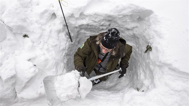 Botanik Správy KRNAP Vojtěch Zavadil měří množství sněhu v Labském dole v Krkonoších (1.2.2019).