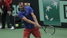 Luká Rosol se opírá do bekhendu v utkání Davis Cupu proti Nizozemsku.