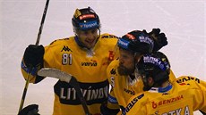 Hokejisté Litvínova se radují ze vstřelené branky v zápase proti Pardubicím.
