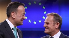 Irský premiér Leo Varadkar a éf Evropské rady Donald Tusk pi setkání v...