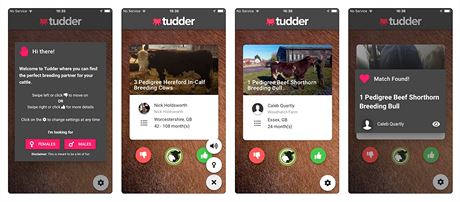 Mobilní aplikace Tudder