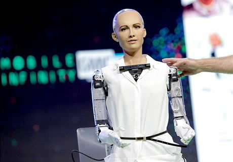 Napíklad Sophia je inteligentní humanoidní robot vyvinutý v roce 2016 spoleností Hansons Robotics.