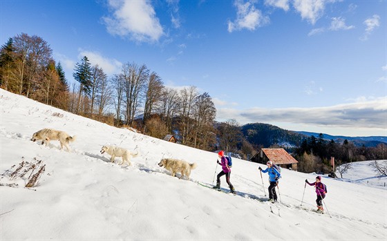 Psí karavana u samoty Kuelach