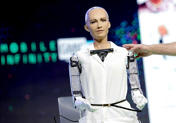 Například Sophia je inteligentní humanoidní robot vyvinutý v roce 2016 společností Hansons Robotics.