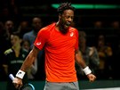 Francouz Gael Monfils slaví postup do finále turnaje v Rotterdamu.