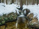 Lesní potok kdesi mezi Tokem a Klobou�kem