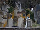 Vandalové pokodili hrobky na idovském hbitov ve východní Francii. Odpoledne...