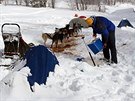 Tídenní závod psích speení Ledová jízda v Krkonoích (11.2.2019).