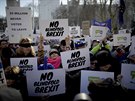 Demonstrace odprc brexitu v Londýn (14. února 2009)