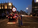 Demonstrace odprc brexitu v Londýn (14. února 2009)