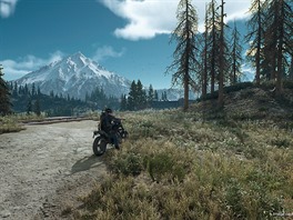 Days Gone