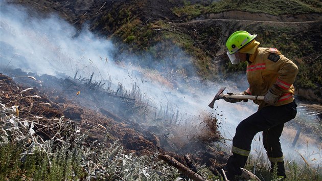 Novozlandt hasii se sna vypodat s obm porem na Jinm ostrov (8.2.2019).