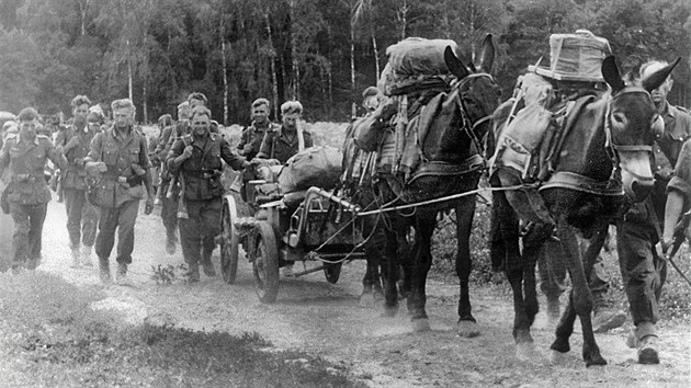 Spolen jednotka finsk a nmeck armdy pochoduje bhem boj na rusk front. (srpen 1941)