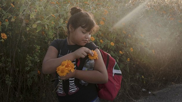 NOMINACE NA FOTOGRAFII ROKU (srie). Pieter Ten Hoopen, Agence Vu - Bhem jna a listopadu 2018 se tisce uprchlk z Nikaraguy, Salvadoru a Guatemaly vydaly na cestu do USA.