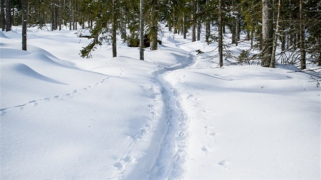 Turist li podl podl Hamerskho potoka k vrchu Antgl.