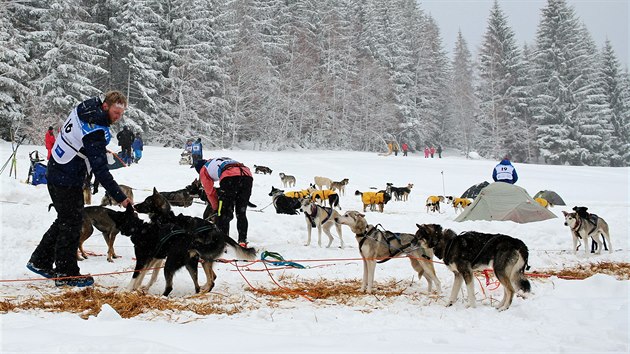 Třídenní závod psích spřežení Ledová jízda v Krkonoších (11.2.2019).