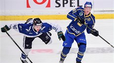 Finský hokejista Eemeli Suomi (vlevo) a véd Dennis Rasmussen v akci bhem...