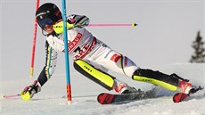 �védka Frida Hansdotterová svi�tí po trati slalomu na sv�tovém �ampionátu v...