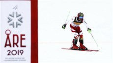 Rakuan Marcel Hirscher bhem druhého kola slalomu bhem mistrovství svta v...