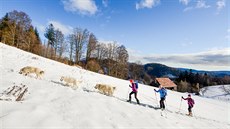 Psí karavana u samoty Kuelach