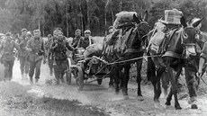 Spolená jednotka finské a nmecké armády pochoduje bhem boj na ruské front....