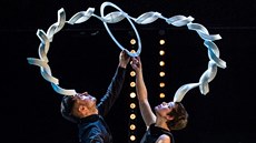 Festival Cirkopolis 2019 se koná a do soboty v paláci Akropolis.