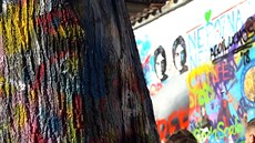 Pražská Lennonova zeď je umělcům už malá, tak pomalovali i okolní stromy.