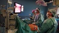 Operaní tým Nemocnice TGM Hodonín pod vedením primáe oddlení chirurgie...
