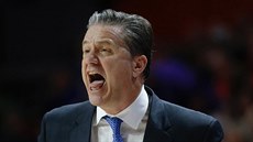 John Calipari, trenér Kentucky