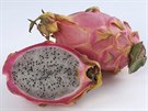 draí ovoce - dragon fruit