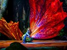 Cirque du Soleil - Toruk - The First Flight