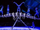 Cirque du Soleil - Toruk - The First Flight