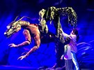 Cirque du Soleil - Toruk - The First Flight