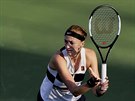 Petra Kvitová ve tvrtfinále turnaje v Dubaji.