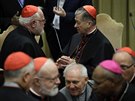 Kardinál Reinhard Marx (vlevo) hovoří na summitu ve Vatikánu o sexuálním...