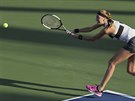 Petra Kvitová na turnaji v Dubaji proti Viktórii Kumové.