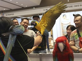 Papouci ara na výstav zvíat v Jakart, Indonésii (22. února 2019)