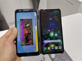 LG DualScreen