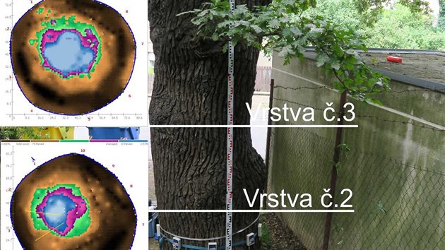 Výsledky měření jiného stromu
