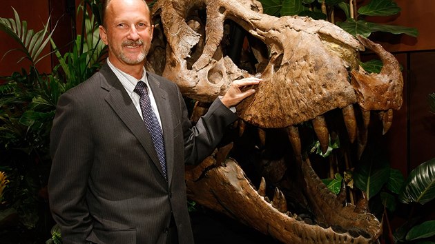 Konzultant americk aukn sn Bonhams & Butterfields Thomas Lindgren vedle 66 milion let star kostry Tyrranosaura rexe, nalezen v Dakot v roce 1992. 