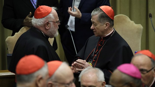 Kardinl Reinhard Marx (vlevo) hovo na summitu ve Vatiknu o sexulnm zneuvn dt s chicagskm arcibiskupem Blasem Cupichem. (23.nora 2019)