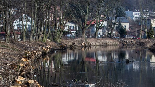 Povodí Labe nechá pokácet víc než 1300 stromů podél řeky Úpy v České Skalici.