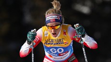 Norská bkyn na lyích Theresa Johaugová v závod na 10 km klasickou...
