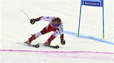 Rakouský lya Marcel Hirscher v cíli obího slalomu v Bansku