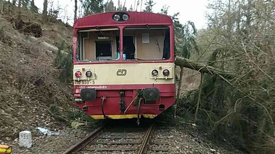Osobní vlak narazil na Karlovarsku do spadlého stromu leícího pes koleje (3....