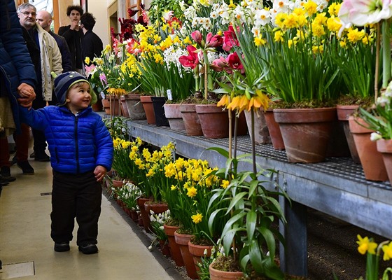 Výstava z cyklu Pedjaí na Praském hrad (1. 3. 2019)